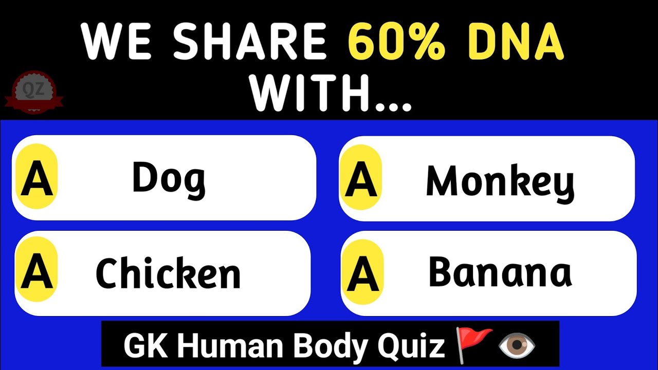 Can You Pass This Human Body Quiz? | 50 General Knowledge Questions ...