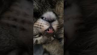 Her Sleeping Position Is A Spiral