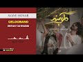 Erfan Tahmasbi Gelooband عرفان طهماسبی گلوبند