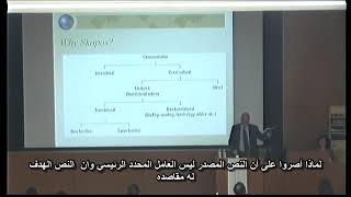 Exploring Translation theories