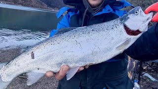 3 Daki̇kada Somon Avini Öğreni̇n Somon Avi Tekni̇kleri̇ Alabalik Avi Nasil Yapilir .