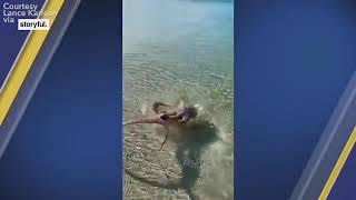 Angry octopus attacks man who filmed it at popular snorkeling spot in Australia | ABC7