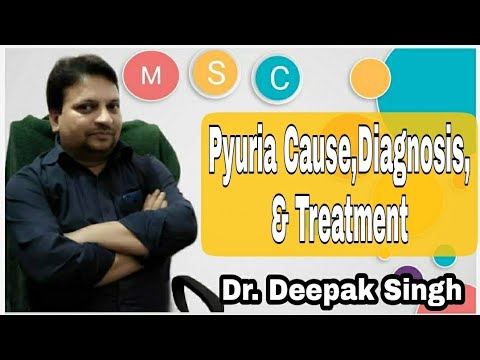 👉 Pyuria Cause,Diagnosis, and Treatment# Dr. Deepak Singh # Practice of Medicine # MSC