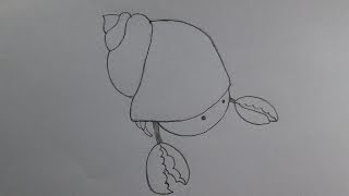 How to draw a cute cartoon hermit crab