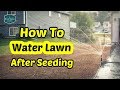 How To Water Your Lawn After Seeding