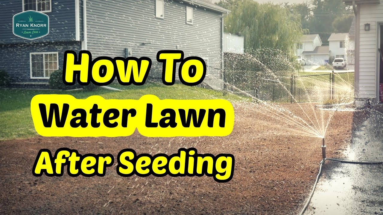 How To Water Your Lawn After Seeding Youtube