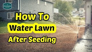 How To Water Your Lawn After Seeding