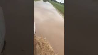 Siete Palmas, el pueblo del olvido