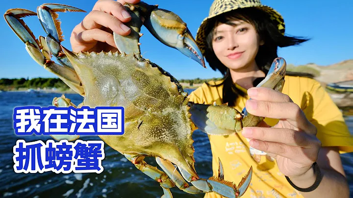 在法国抓螃蟹，凶猛蓝蟹入侵海湖无人捕，我抓2斤做麻辣蟹！| 农村 | 螃蟹| 赶海 | 美食 | 海鲜 | 户外 | - 天天要闻