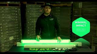 Green Light - Grow Pros Solutions - Why you need it? What is it? screenshot 3