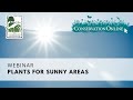 Plants for Sunny Areas | Webinar