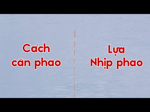 Cách Cân Phao Lọc Tín Hiệu Phao Câu Cá Bán Tự Nhiên