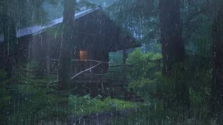 Intense Rain and Thunder for Perfect Deep Sleep  Ultra Relaxing Rain in Misty Forest