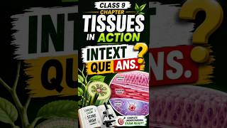 Class 9 ch Tissues in Action Intext Question Answers #newncert #notes #study #trending #bio