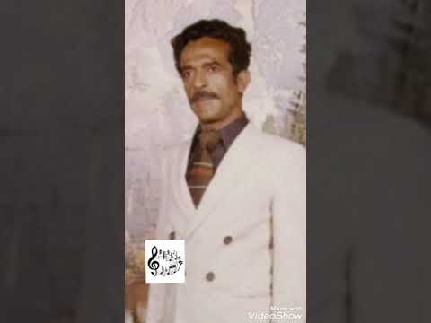 طاهر الاحسائي سيدي جاني