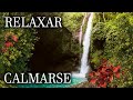 Atmosfera Calmante - Música Zen com Som de Água, Natureza e Flauta - Tranquilizar