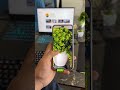 This Phone can Replace DSLR Honor 400 pro 5G 🤯
