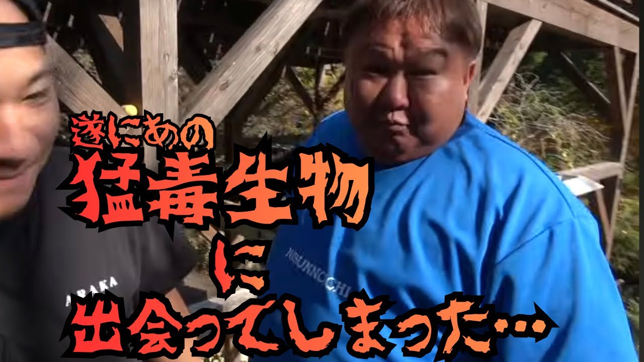 【切り抜き】おっちゃんの山復興第2章スタート‼︎【釣りよか】