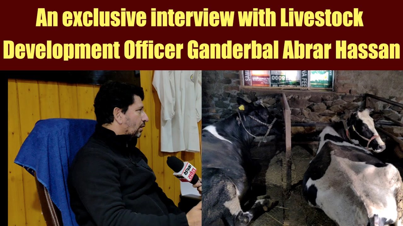 An exclusive interview with Livestock Development Officer Ganderbal ...