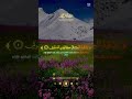 سورة القارعة