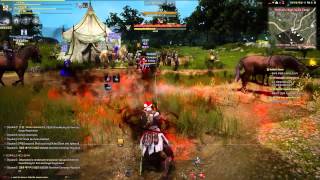 Black Desert online KR OBT, Servers Merged and Faction System PvP