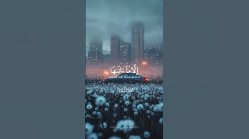 لا يكلف الله نفسا إلا ما ءاتىها🥰 #القرآن_الكريم #قرآن #اكسبلور #راحة_نفسية #رعد_الكردي #تلاوة_خاشعة