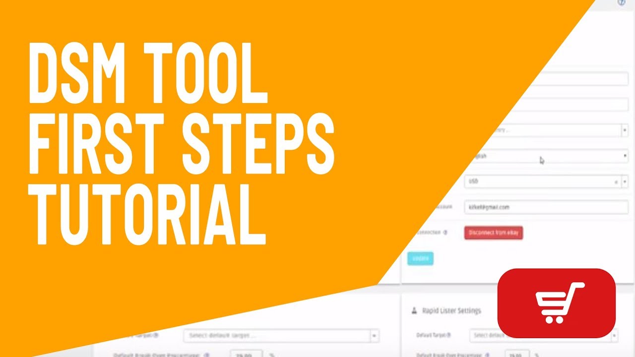 DSM Tool - First Steps Tutorial - YouTube
