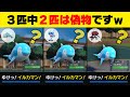 ナミイルカ、ゾロアークをイルカマンと混ぜたら相手は困惑して勝てるのでは？【ポケモンSV/ポケモンスカーレット/バイオレット】