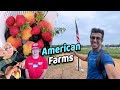 When Punjabis go to American Farms!! Peaches in Georgia