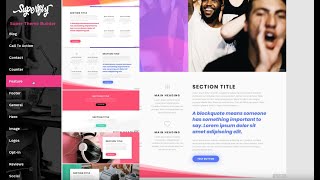 Theme Builder Demo Net Worth