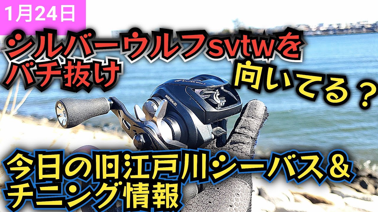 Silver Wolf SVTW: Can it be used in the bait-run? Compared to