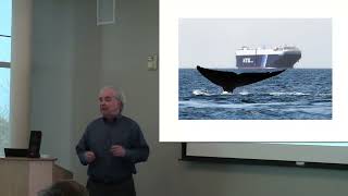 Paul Wilson: Whale Traffic Control (2014 Spatial Lightning Talks)