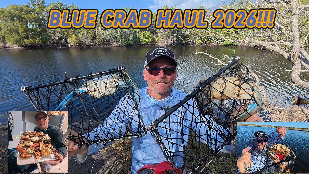 ЗИМНИЕ КРАБЫ УЖЕ ЗДЕСЬ! УЛОВ СИНИХ КРАБОВ В ЯНВАРЕ!