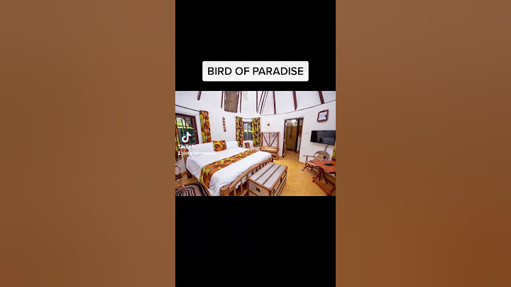 BIRD OF PARADISE - KAKAMEGA #tourism #travel #hospitality #kenya #trending #hotel #kakamega