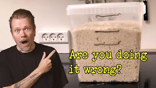 Are you fermenting sourdough bread wrong? | Fermentation Masterclass