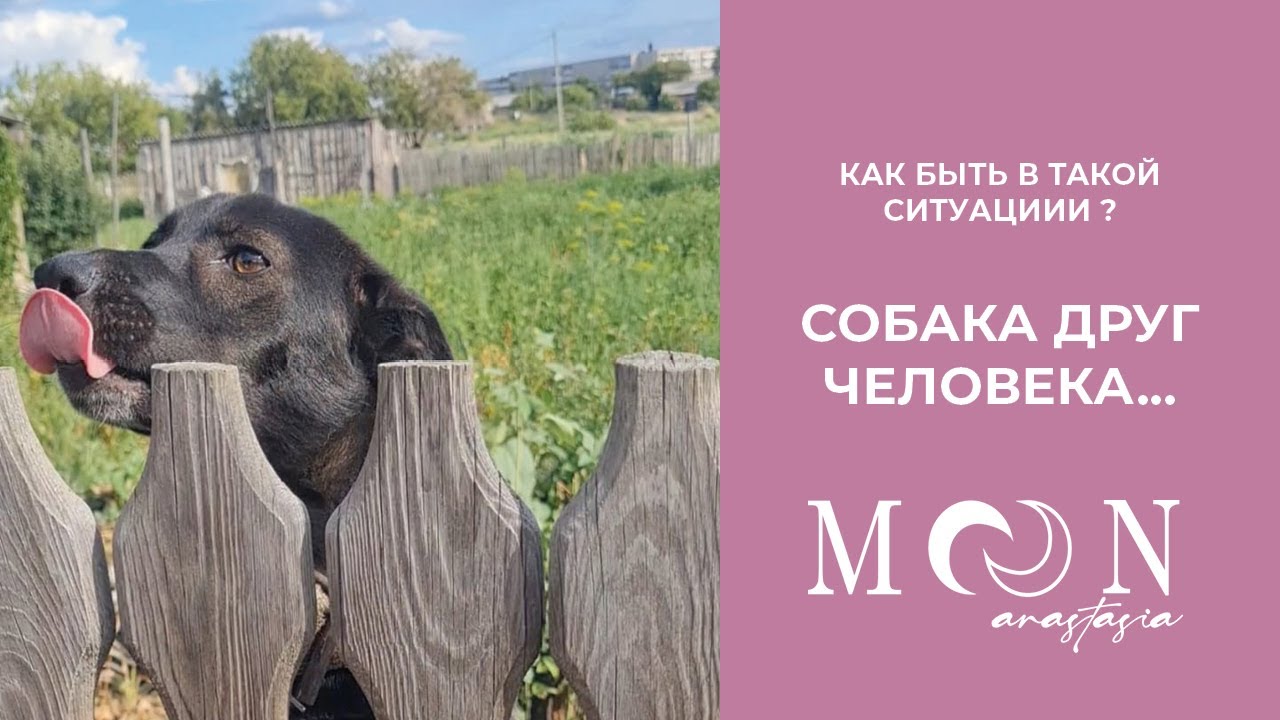 ВСЕХ НЕ СПАСЁШЬ, но одну можно попытаться