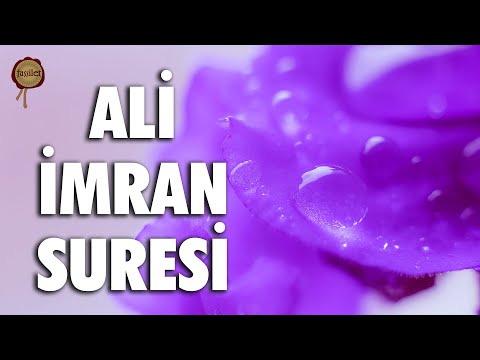 Bana bir insan dokunmamışken benim nasıl çocuğum olur | Ali İmran Suresi - Ali Turan