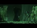 Natalie Duffy - Emerald Green August (Official Music Video)