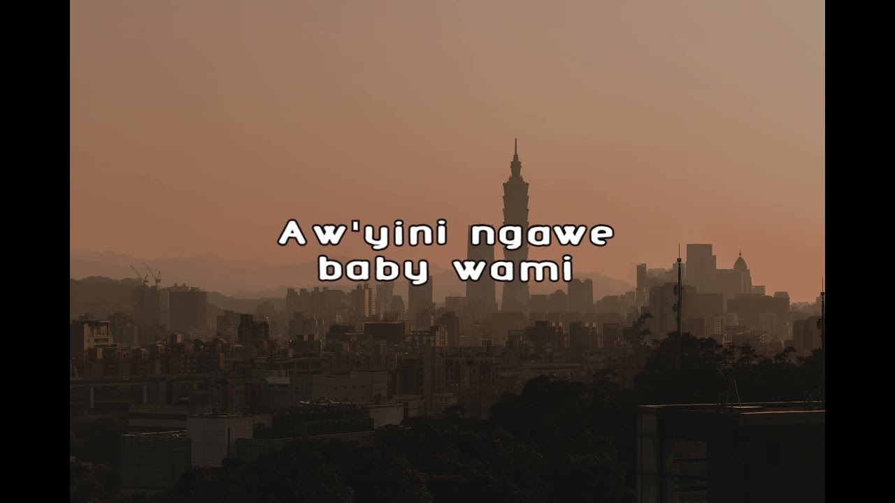 Kwiish SA-LiYoshona feat  Njelic, Malumnator & De Mthuda - Lyric Video