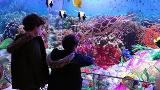 Discover Brick Wonders - Horniman Museum and Gardens