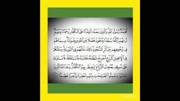 آية آخر سورة الفتح