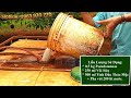 BỆNH NỨT GAI, THỐI TRÁI, NỨT CUỐNG, SÂU ĐỤC QUẢ TRÊN SẦU RIÊNG – Thuỷ Kim Sinh