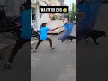 dog catching day 3 #dog #funny #dogcare #dogvaccination #comedy #dogfunnyvideos #doglife #tranding