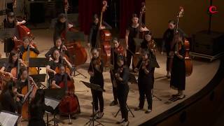 Britten  Variations on a Theme of Frank Bridge-Moto Perpetuo/DGS String Orchestra
