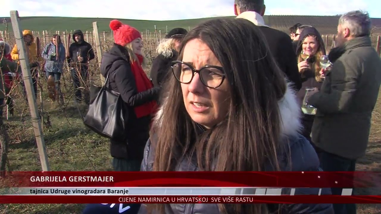 Vinceška u Baranji - na Zlatnom brdu blagoslov vina za novu vinogradarsku godinu