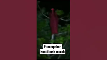 Penampakan kuntilanak merah di atas pohon #dunialain