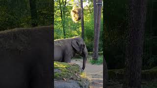 Lah dia nge Dugem 🤦