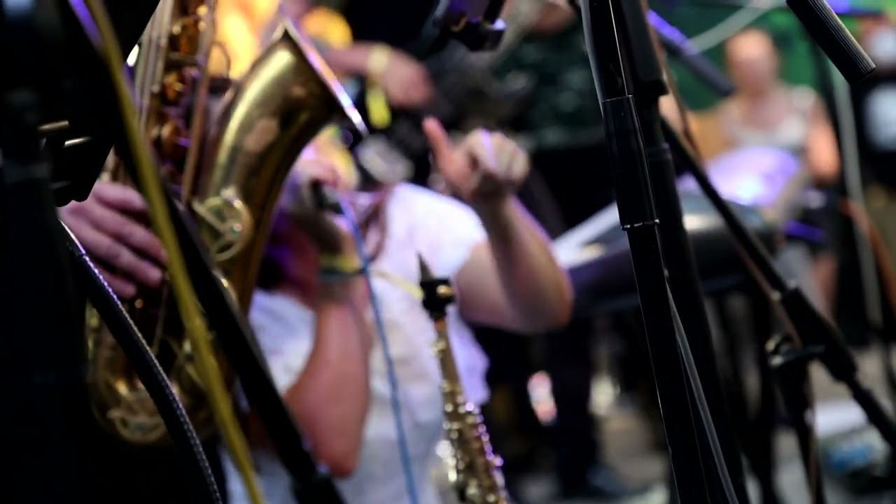 Katie Knipp Band at Davis Music Festival 2025 (Short Clip of "Stillness")