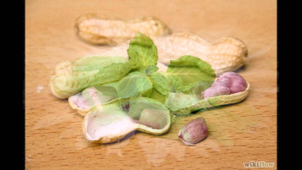 Hamptons Diet - YouTube
