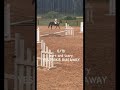 istg risen spooks sm it’s not even funny😭| #equestrain #horse #sunnysideup